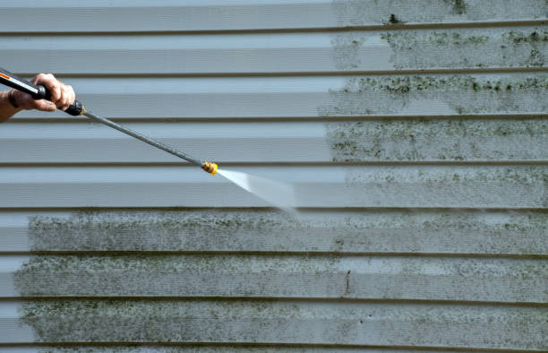 Best Residential Mold Removal  in Wintersville, OH