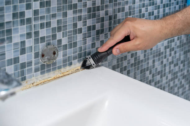 Best Black Mold Removal  in Wintersville, OH